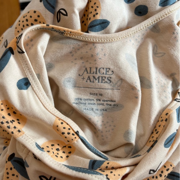 EUC alice and ames ballet tank dress - size 10 - fruity harvest - Picture 5 of 5